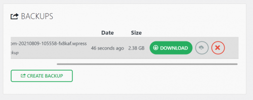 WordPress website backup ready to download